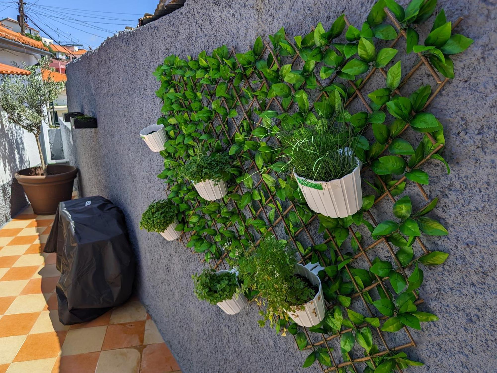 Casa Ascencao, Vista Mar Madeira Villa ฟุงชาล ภายนอก รูปภาพ